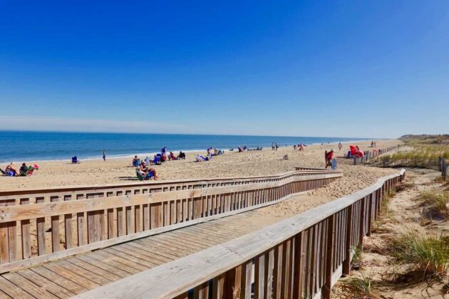 Cape Henlopen State Park