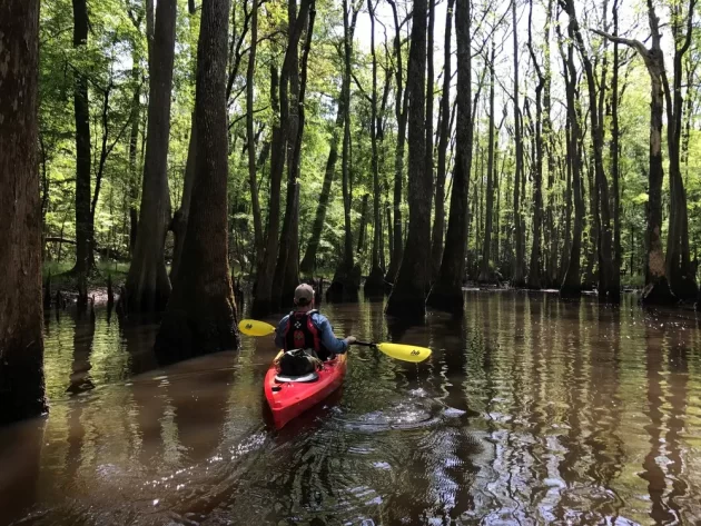 Cedar Creek Canoe Trail