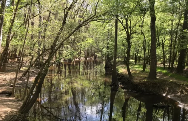Cedar Creek Canoe Trail