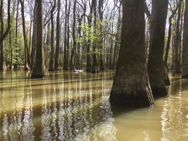 Cedar Creek Canoe Trail