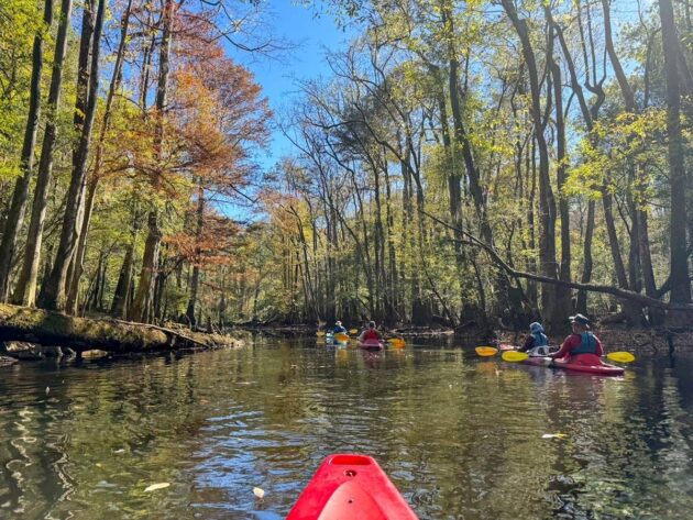 Cedar Creek Canoe Trail