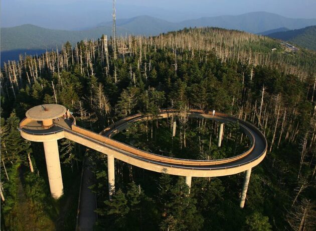 Clingmans Dome Trail