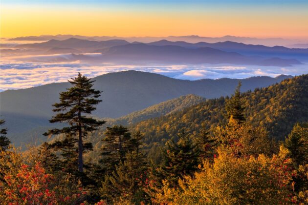 Clingmans Dome Trail