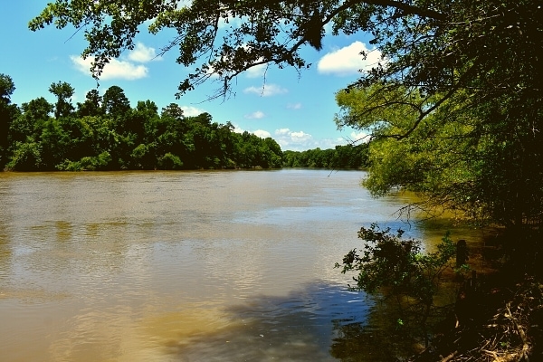 Congaree River Blue Trail