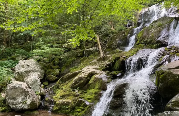 Dark Hollow Falls