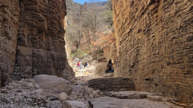 Devil’s Hall Trail
