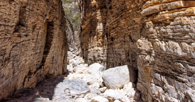 Devil’s Hall Trail