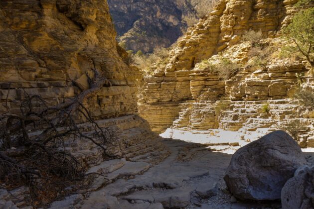 Devil’s Hall Trail