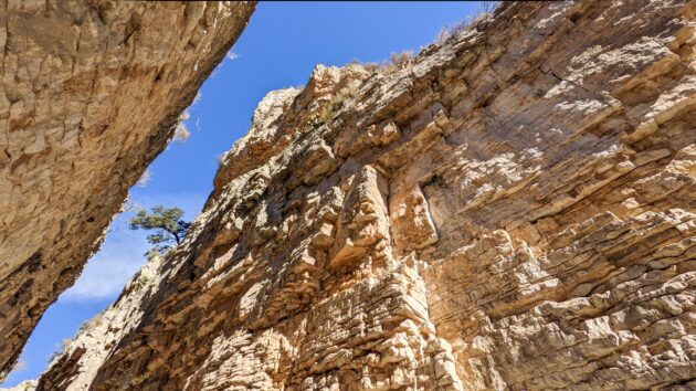 Devil’s Hall Trail