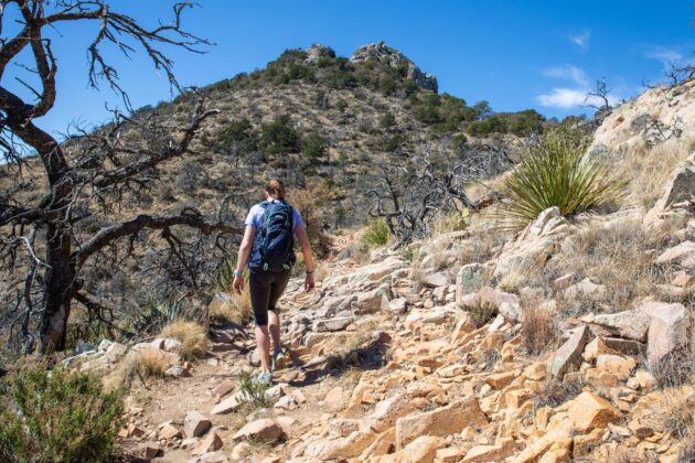 Emory Peak