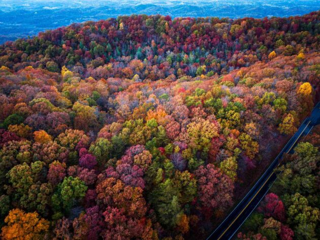 Foothills Parkway