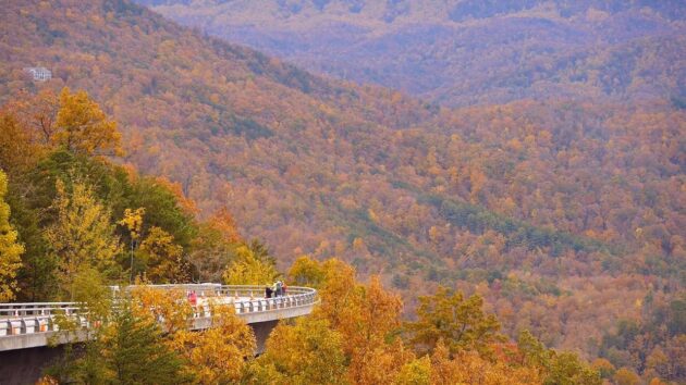 Foothills Parkway