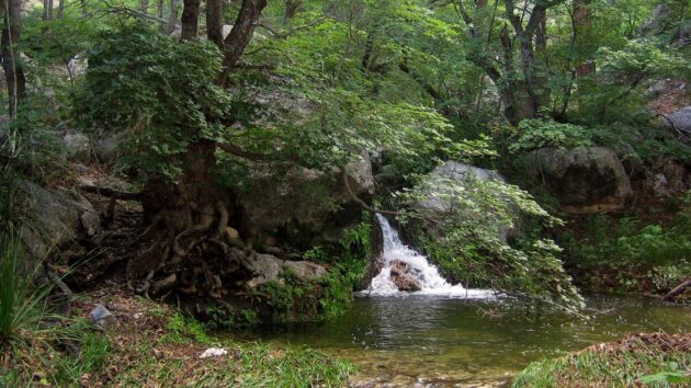 Frijole Ranch and Smith Spring Trail