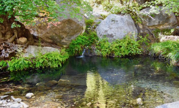 Frijole Ranch and Smith Spring Trail