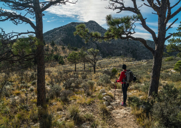 Guadalupe Peak Trail