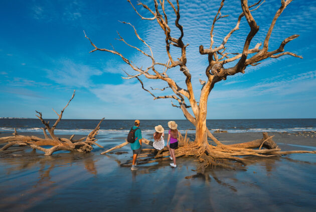 Jekyll Island