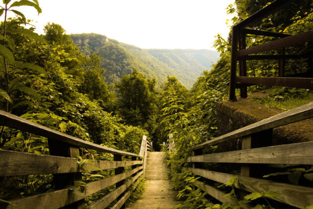 Kaymoor Miners Trail