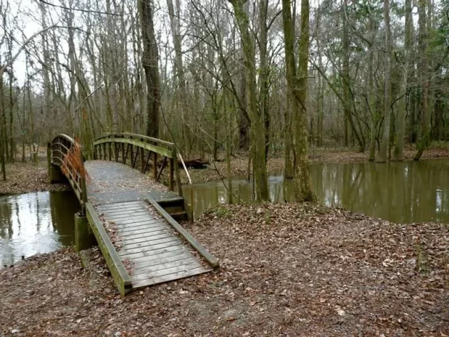 Kingsnake Trail