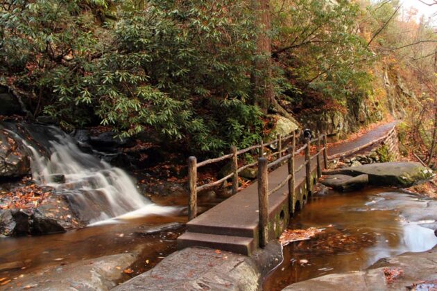 Laurel Falls Trail