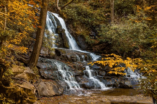 Laurel Falls Trail