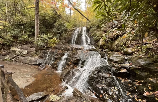 Laurel Falls Trail