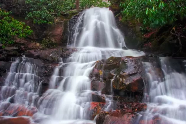 Laurel Falls Trail