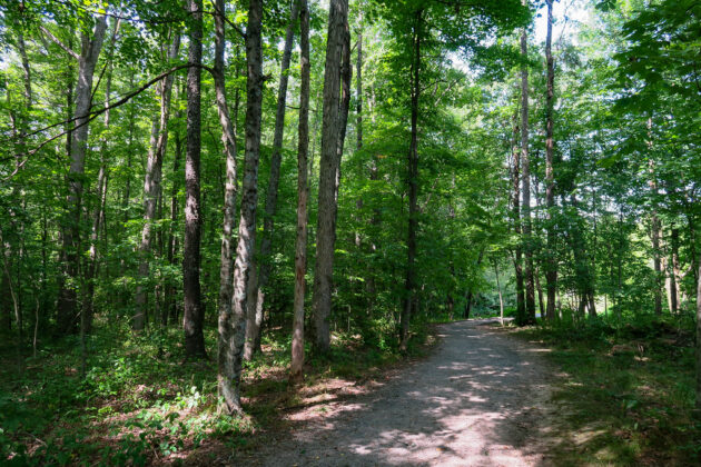 Long Point Trail