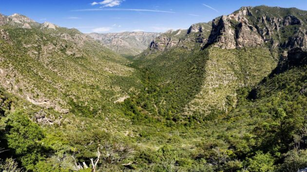 McKittrick Canyon Trail