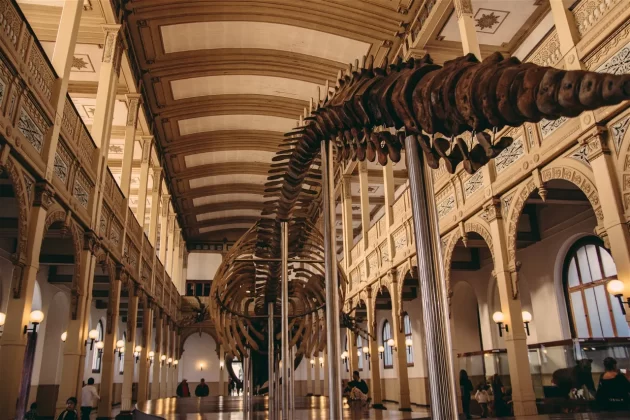 National Museum of Natural History