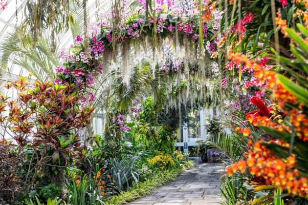 New York Botanical Garden
