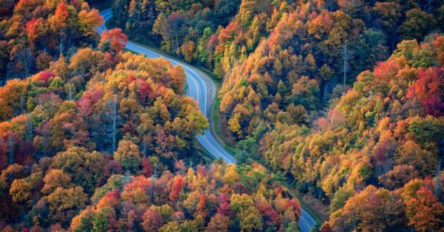 Newfound Gap Road