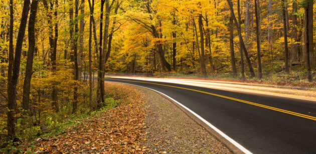 Newfound Gap Road