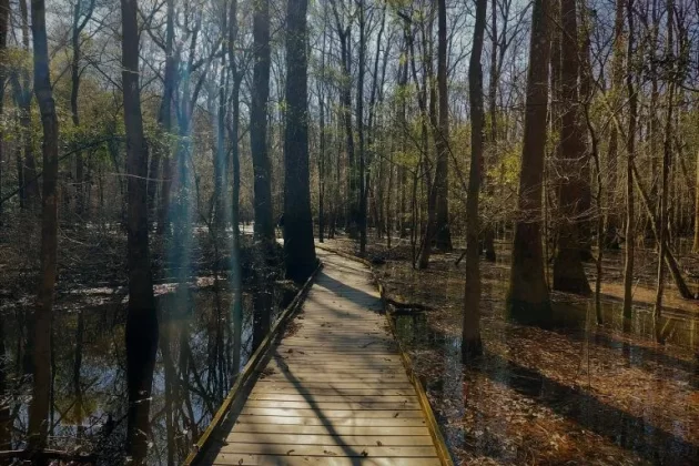 Oakridge Trail