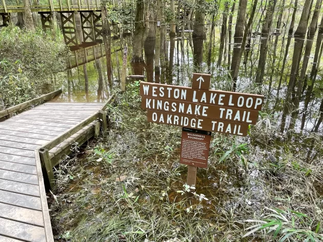 Oakridge Trail