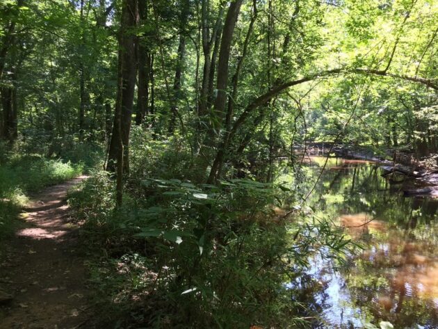 Oakridge Trail