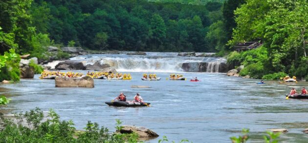 Ohiopyle State Park