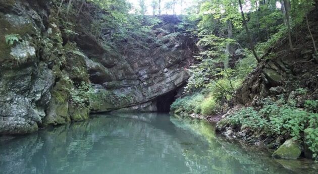 Penn's Cave and Wildlife