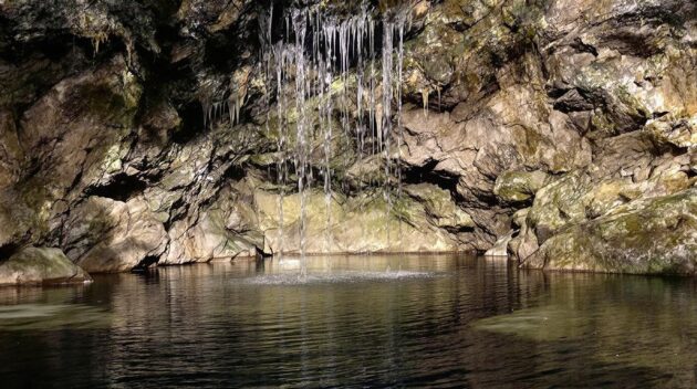 Penn's Cave and Wildlife