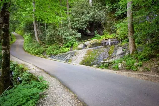 Roaring Fork Motor Nature Trail