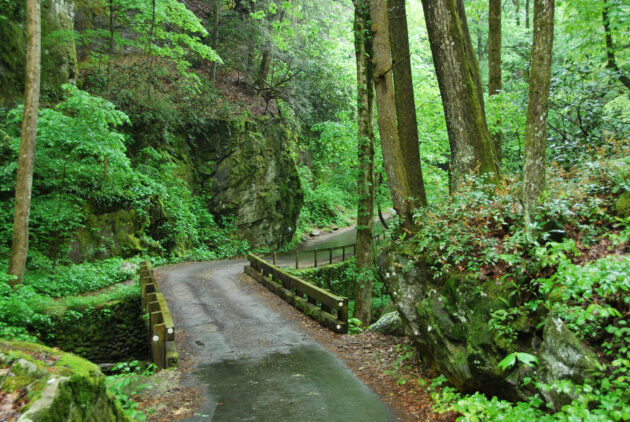 Roaring Fork Motor Nature Trail