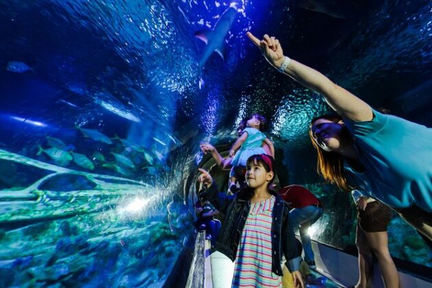 SEA LIFE Minnesota Aquarium