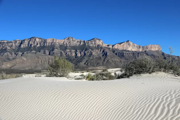Salt Basin Dunes