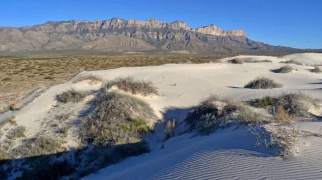 Salt Basin Dunes
