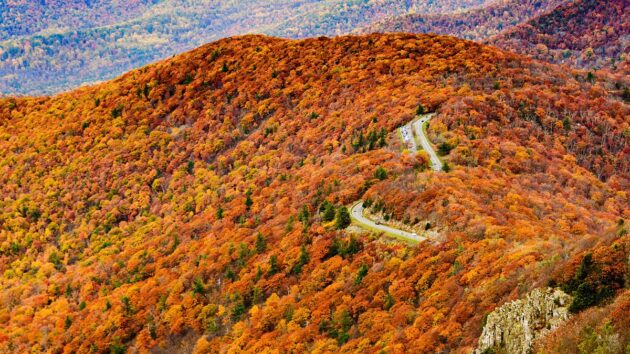 Skyline Drive