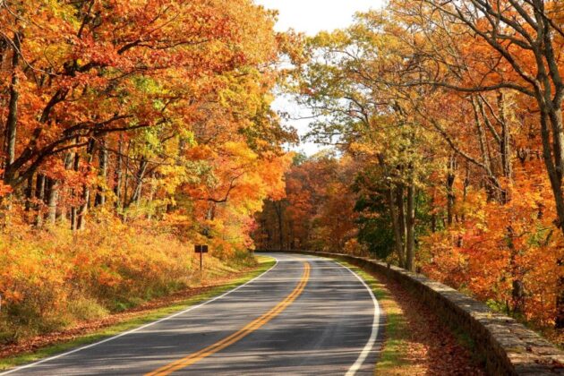 Skyline Drive