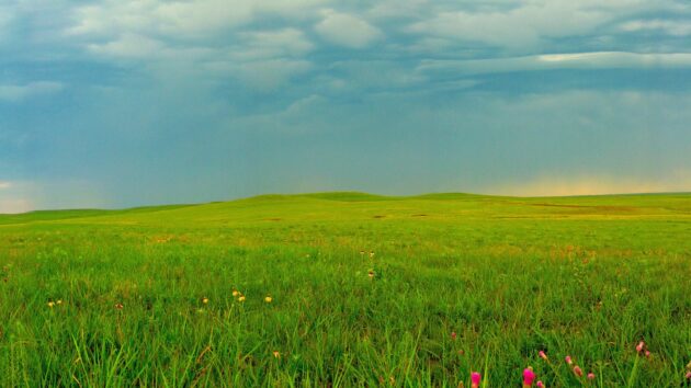Tallgrass Prairie National Preserve