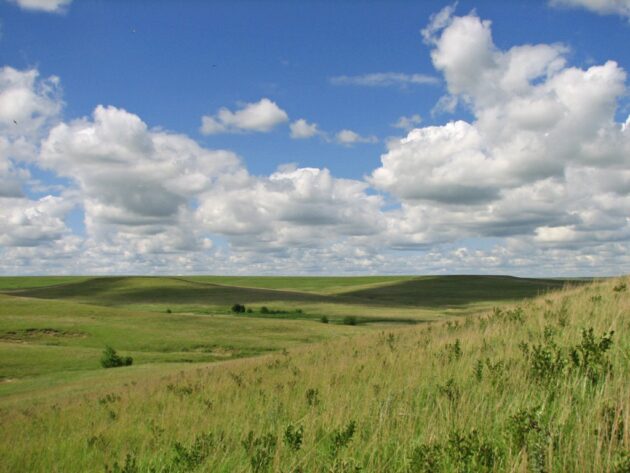 Tallgrass Prairie National Preserve
