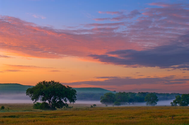 Tallgrass Prairie National Preserve