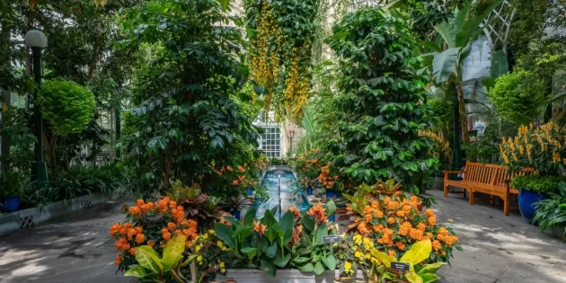 United States Botanic Garden