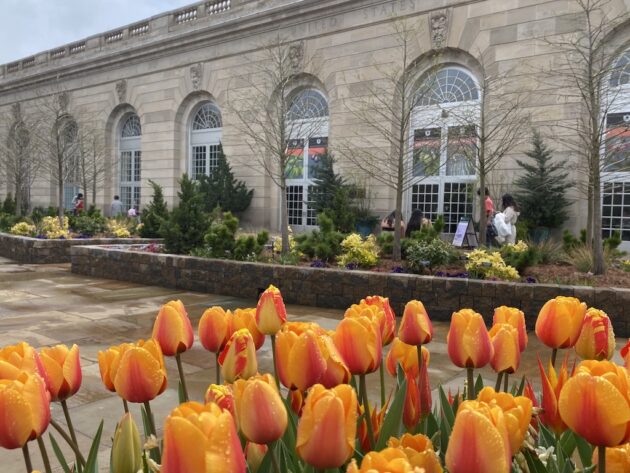 United States Botanic Garden
